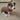 Soft fleece-lined thickened warm pet autumn and winter dog clothes for ultimate heat retention.