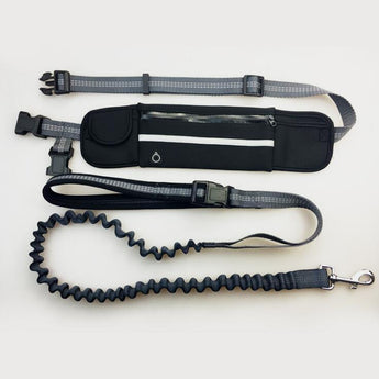 Dog training set with harness, waist bag, and bungee leash on a white background