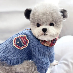 Cozy two-piece autumn cotton dog sweater for stylish and warm pets in cooler weather.