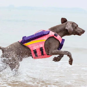 Dog swimming vest with cooling fabric, buoyant pet swimsuit for summer safety.