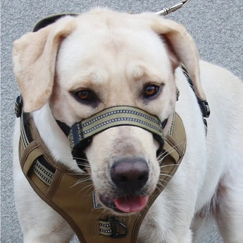 Secure-fit big dog muzzle with reflective straps, anti-bite protection, and breathable comfort.