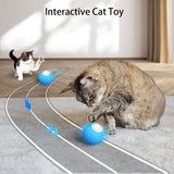 interactive cat toy cat playing