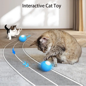 interactive cat toy cat playing