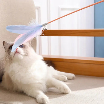 Interactive feather laser cat toy for playful kittens, promoting exercise and fun tickling action.