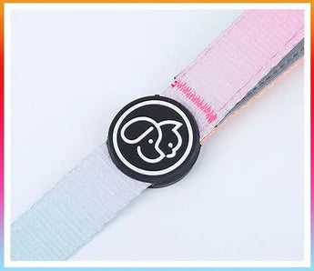 Durable and waterproof nylon dog collar and leash set available in assorted sizes and vibrant colors