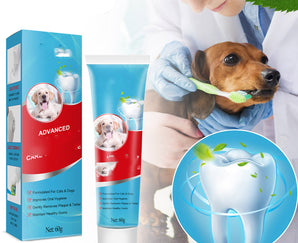 Dog toothpaste with packaging, a person brushing a dog's teeth, and a close-up of a tooth with green leaves.