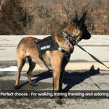 Military-grade tactical dog lead with elastic bungee for strong pull control and outdoor training