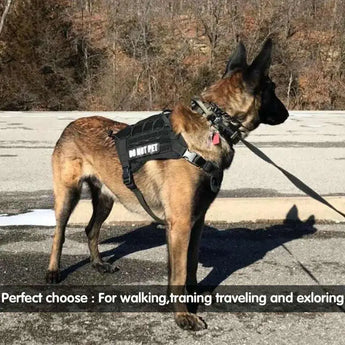 Military-grade tactical dog lead with elastic bungee for strong pull control and outdoor training