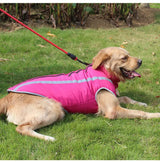 in pink Coat  