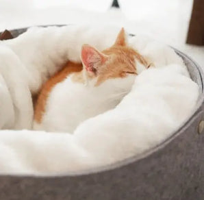 Premium cozy cat bed providing warmth and comfort for all seasons, ensuring ultimate feline relaxation.