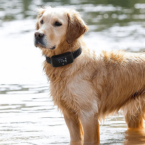 Wireless electronic pet fence GPS dog trainer for safe and effective outdoor boundary training.