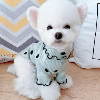 Cozy turtleneck dog shirt with dotted design ideal for small and medium-sized pet fashion. -  Green-M