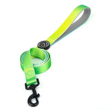 Safe and durable nylon dog lead and collar set for daily use, walking, and training sessions -  Green-hills-and-green-waters-Lead-S