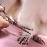 Premium titanium-coated stainless steel grooming scissors for cats and dogs, ideal for trimming face, ears, paws, and body.