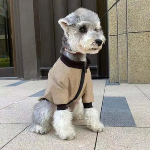 Dog wearing a khaki winter jacket hoodie coat, perfect for keeping pets warm and stylish during cold seasons.