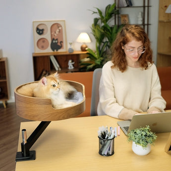 Woman working at a desk with a cat in a wooden desk plant holder.