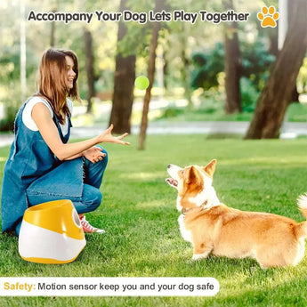 Happy dog returning a ball launched by the automatic fetch toy.