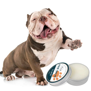 Dog Paw Balm Cats Pets Feet And Soles Moisturizing Cream 60g -  main