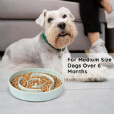 Eco-friendly ceramic slow feeder bowl ideal for medium breeds to prevent gulping and overeating.