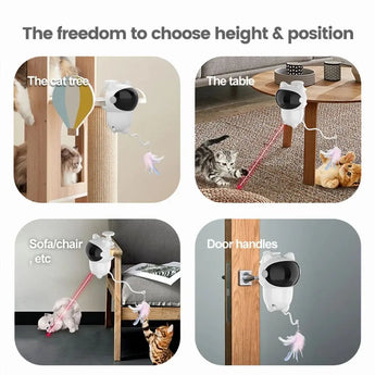 Durable cat laser toy designed for active play and entertainment for kittens and cats