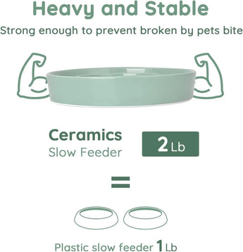 Slow feeder dog bowl made of durable ceramic, perfect for medium-sized breeds' healthy eating habits.