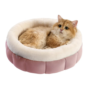 Raised-edge donut pet bed providing neck and head support for cats and dogs.