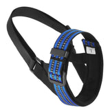 Blue-S - Secure and comfortable anti-bite dog muzzle with reflective strips for large breed safety.