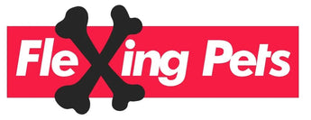 X Clothing 