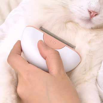 Person using a pet grooming tool on a white cat