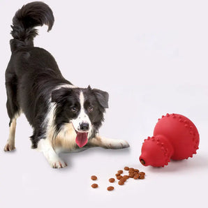 dog toy dog paying