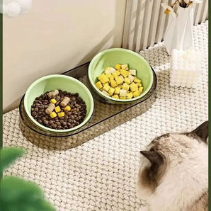 Elevated dual cat feeding bowl – transparent design enhances posture and supports digestive health.