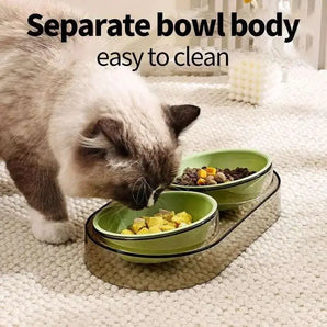 Hygienic transparent double cat bowl – pet-safe material with tilt for comfortable eating experience.