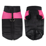 Warm and fashionable cotton dog jacket for chilly winter days.