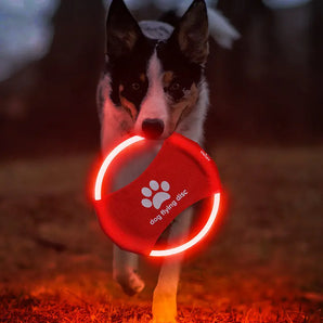 Dog Flying Discs with dog