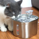 Stainless Steel Automatic Water Feeder