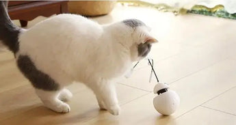 Three-in-One Robot Tumbler Laser Cat Toy