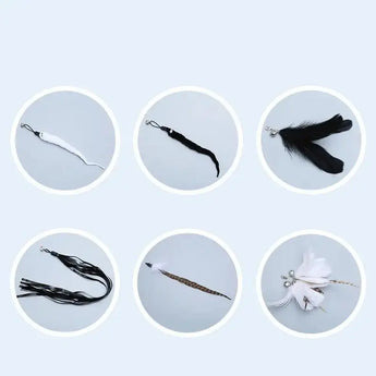 Cat Stick Feather Set 