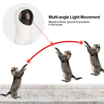 three cats playing laser