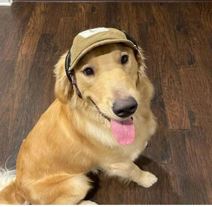 Outdoor dog cap for sun safety with breathable panels, perfect for sports, walks, and hiking adventures.