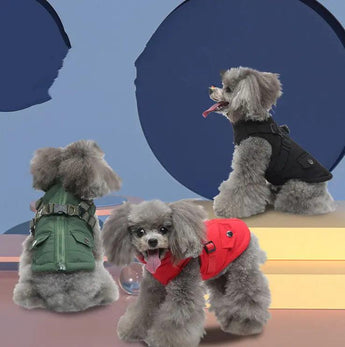 Dog Jackets On 3 Dogs In Various Colours