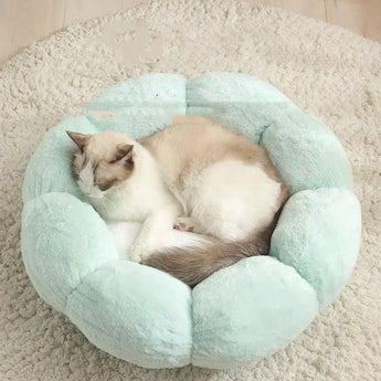 Pet Bed Mat New Pet Soft Dog Cat Blanket Flower Shaped - J.S.MDog Bed, Cat Bed, Dog Product, Cat ProduCJJJCWGY03136-Green light pink-40cm