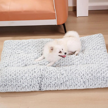 Luxurious Comfort Dog Bed 