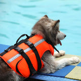 Dog Life-Saving Clothes, Safe Cooling Swimming Suit - J.S.MDog Clothing, Dog ProductCJGY111624503CX