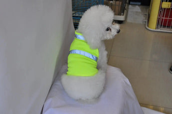  Dog Reflective Wear