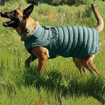 Style Meets Comfort: Dog Cotton Four-Legged Clothing 