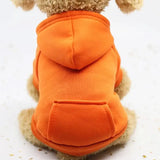 Dog hoodie perfect blend of comfort and fashion - J.S.MDog Clothing, Dog ProductCJJJCWGD00395-Orange-L