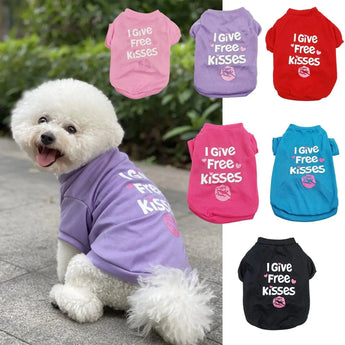 Stylish Spring and Summer Dog Clothes for Fashionable Pets