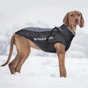  Big Dog Shell Jacket in snow