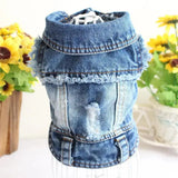 Small Dog Denim Jacket 