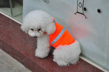 Summer Pet Clothing orange